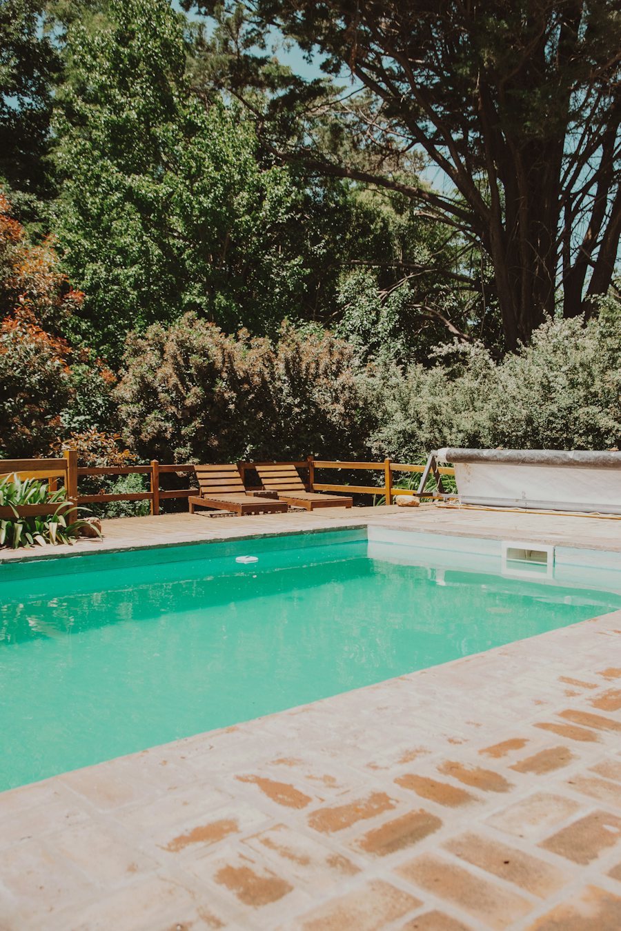 Piscina entre árboles
