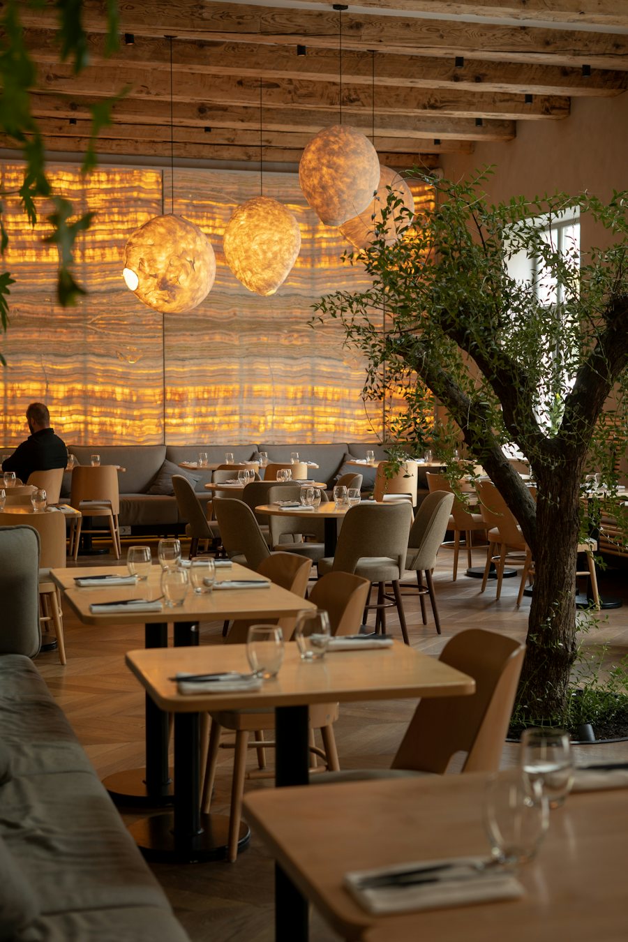 Sala del restaurante con lámparas cálidas y un árbol en el centro